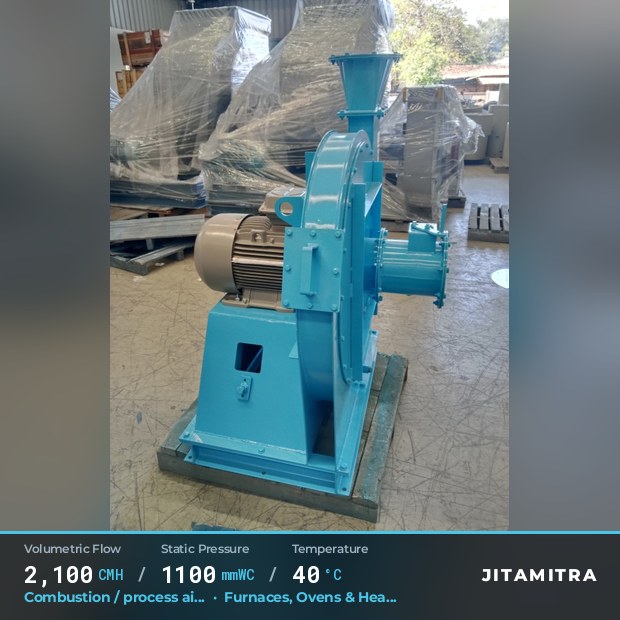 Jitamitra Large-Backward — real dispatched build