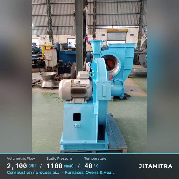 Jitamitra Large-Backward — real dispatched build