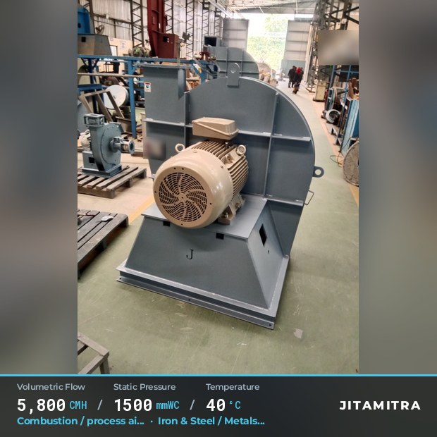 Jitamitra Large-Backward — real dispatched build
