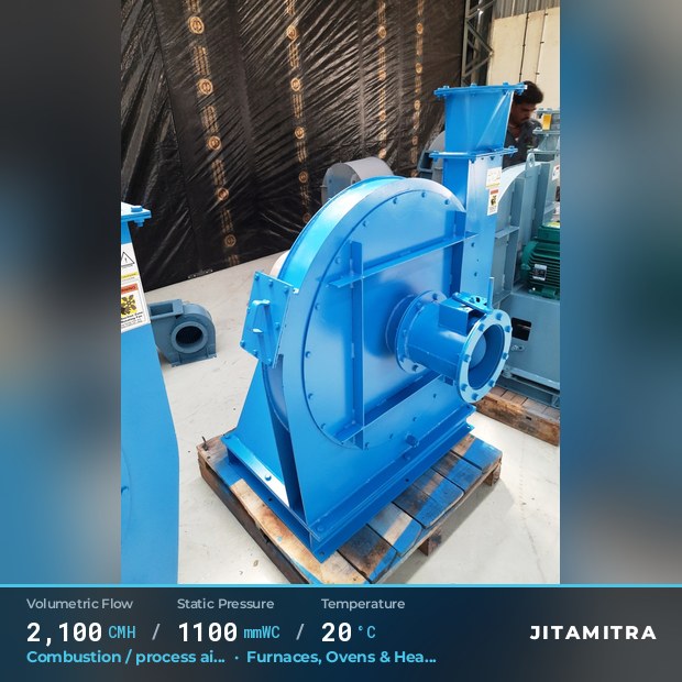 Jitamitra Large-Backward — real dispatched build